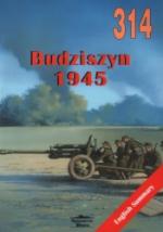 41920 - Domanski, J. - No 314 Budziszyn 1945