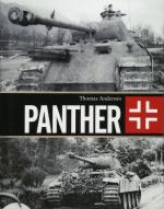 63105 - Anderson, T. - Panther